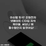 이슈템 등극! 강원전자 넷메이트 C타입 자석 케이블, 써보니 왜 필수템인지 알겠어요! 💖