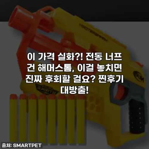 Home 22 이 가격 실화?! 전동 너프 건 해머스톰, 이걸 놓치면 진짜 후회할 걸요? 찐후기 대방출!