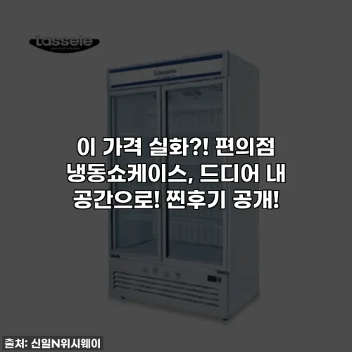 Home 42 이 가격 실화?! 편의점 냉동쇼케이스, 드디어 내 공간으로! 찐후기 공개!
