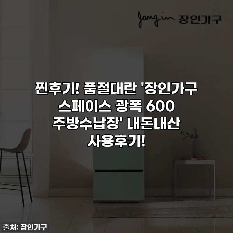 찐후기! 품절대란 '장인가구 스페이스 광폭 600 주방수납장' 내돈내산 사용후기!