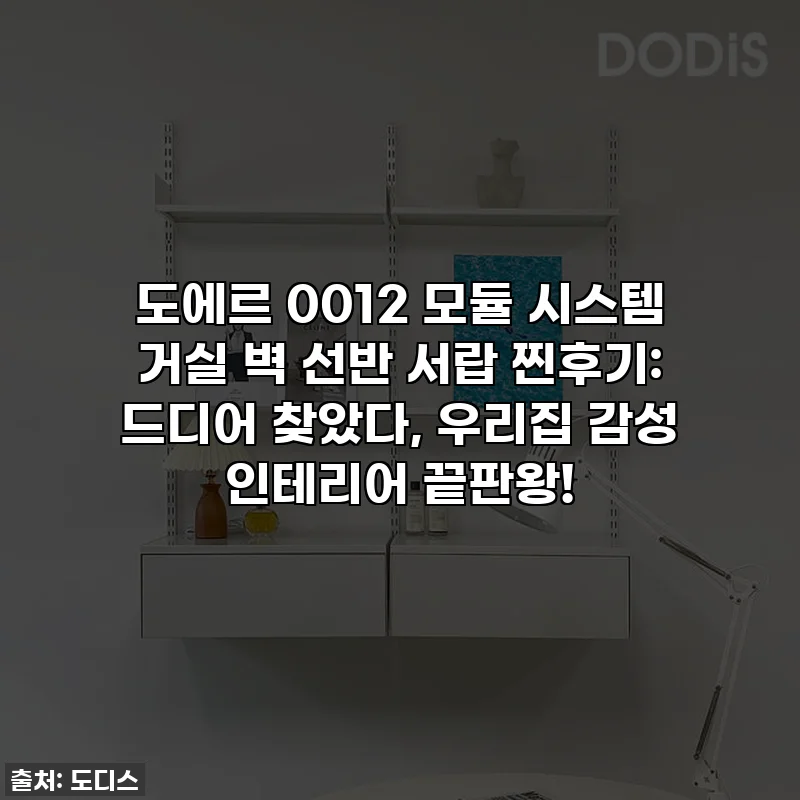 도에르 0012 모듈 시스템 거실 벽 선반 서랍 찐후기: 드디어 찾았다, 우리집 감성 인테리어 끝판왕!