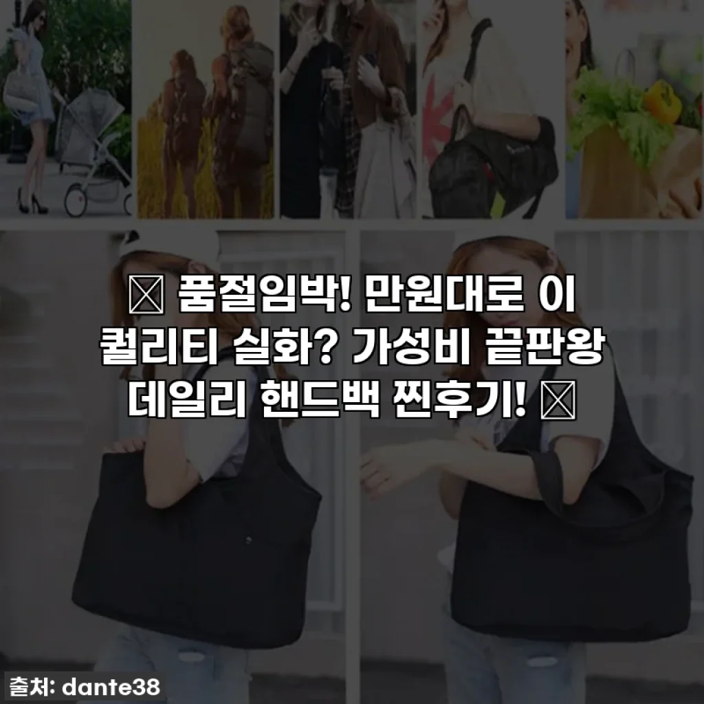 ✨ 품절임박! 만원대로 이 퀄리티 실화? 가성비 끝판왕 데일리 핸드백 찐후기! ✨