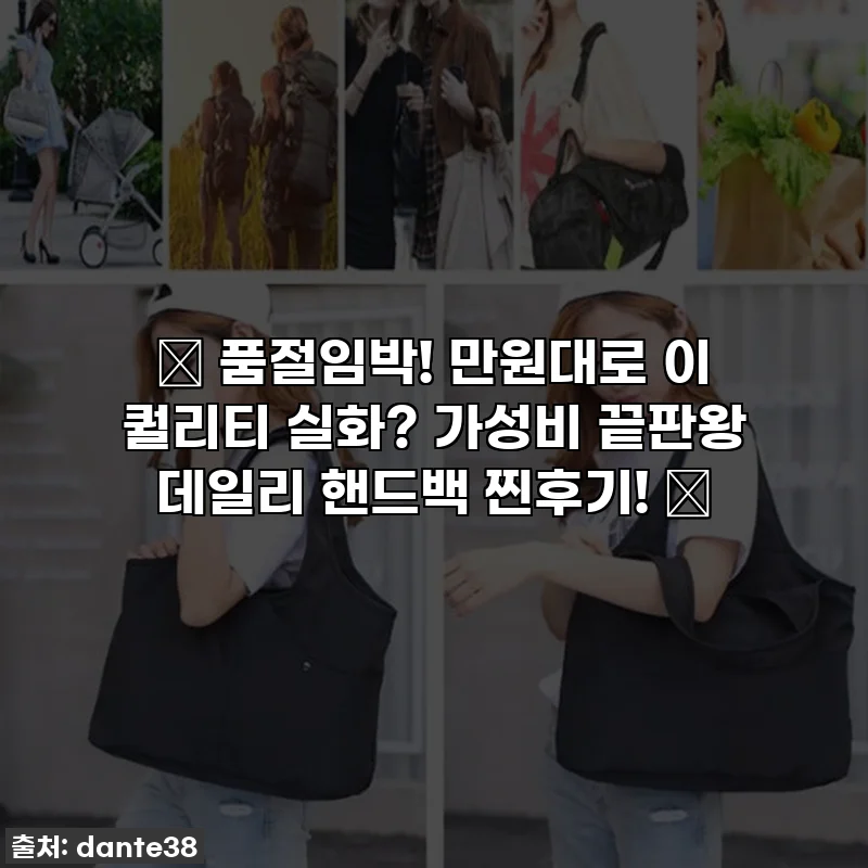 ✨ 품절임박! 만원대로 이 퀄리티 실화? 가성비 끝판왕 데일리 핸드백 찐후기! ✨