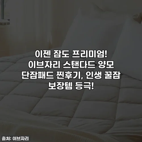 Home 71 이젠 잠도 프리미엄! 이브자리 스탠다드 양모 단잠패드 찐후기, 인생 꿀잠 보장템 등극!