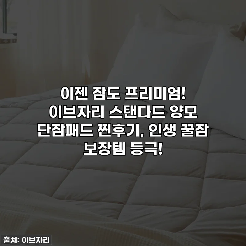 이젠 잠도 프리미엄! 이브자리 스탠다드 양모 단잠패드 찐후기, 인생 꿀잠 보장템 등극!