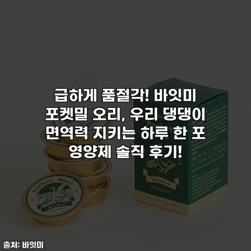 Home 71 급하게 품절각! 바잇미 포켓밀 오리, 우리 댕댕이 면역력 지키는 하루 한 포 영양제 솔직 후기!