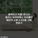 블랙위크 득템! 몬스터 플러스 아쿠아텍스 이지클린 패브릭 소파 3.5인용 구매 찐후기