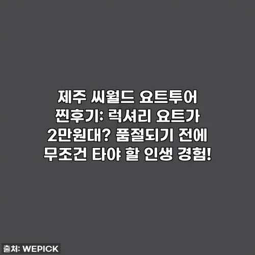 제주 씨월드 요트투어 찐후기: 럭셔리 요트가 2만원대? 품절되기 전에 무조건 타야 할 인생 경험!