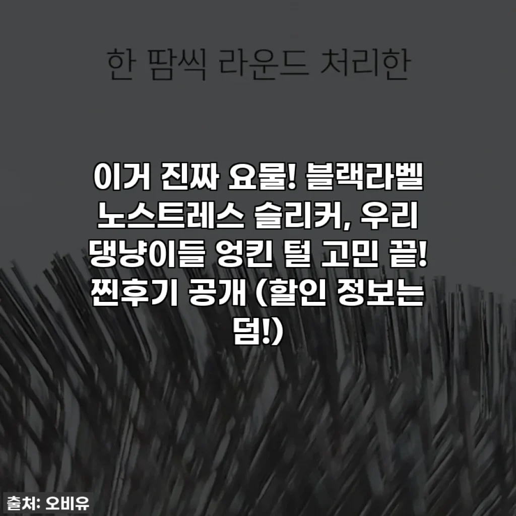 이거 진짜 요물! 블랙라벨 노스트레스 슬리커, 우리 댕냥이들 엉킨 털 고민 끝! 찐후기 공개 (할인 정보는 덤!)
