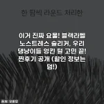 이거 진짜 요물! 블랙라벨 노스트레스 슬리커, 우리 댕냥이들 엉킨 털 고민 끝! 찐후기 공개 (할인 정보는 덤!)