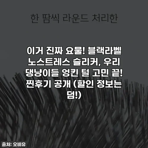 이거 진짜 요물! 블랙라벨 노스트레스 슬리커, 우리 댕냥이들 엉킨 털 고민 끝! 찐후기 공개 (할인 정보는 덤!)