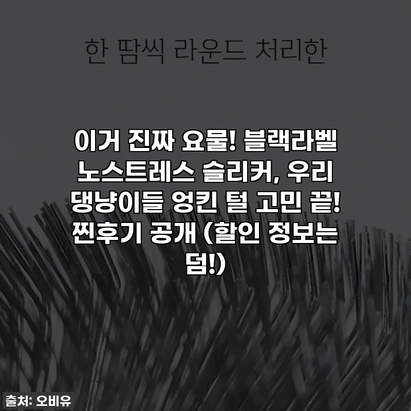 이거 진짜 요물! 블랙라벨 노스트레스 슬리커, 우리 댕냥이들 엉킨 털 고민 끝! 찐후기 공개 (할인 정보는 덤!)