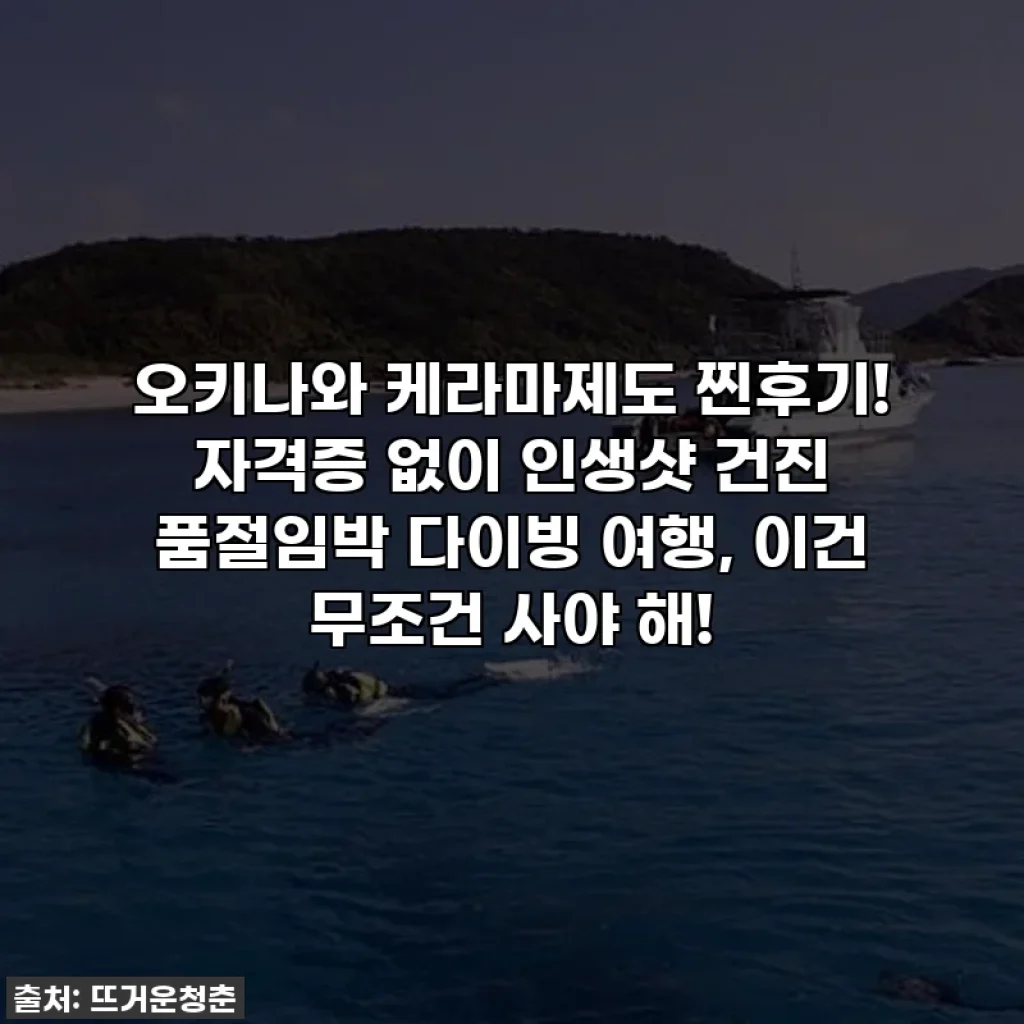 오키나와 케라마제도 찐후기! 자격증 없이 인생샷 건진 품절임박 다이빙 여행, 이건 무조건 사야 해!