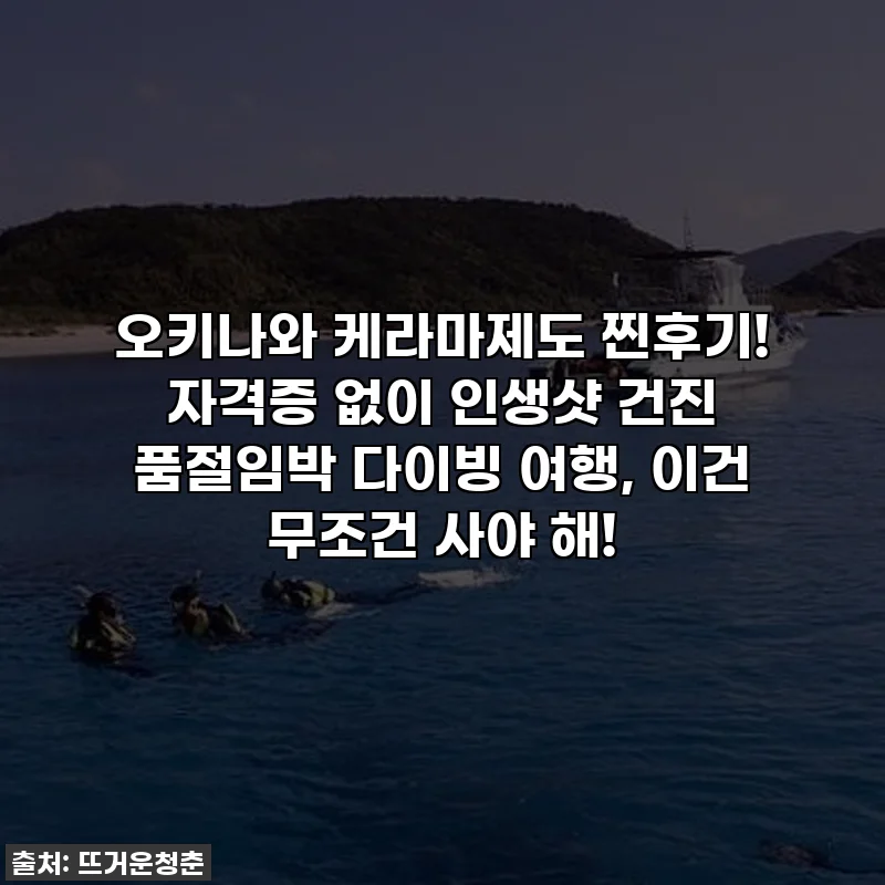 오키나와 케라마제도 찐후기! 자격증 없이 인생샷 건진 품절임박 다이빙 여행, 이건 무조건 사야 해!