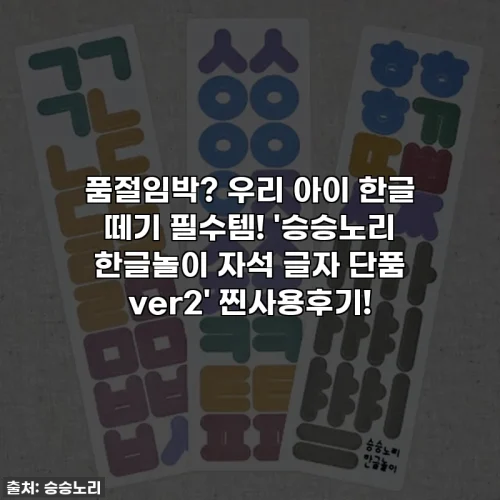 품절임박? 우리 아이 한글 떼기 필수템! '승승노리 한글놀이 자석 글자 단품 ver2' 찐사용후기!