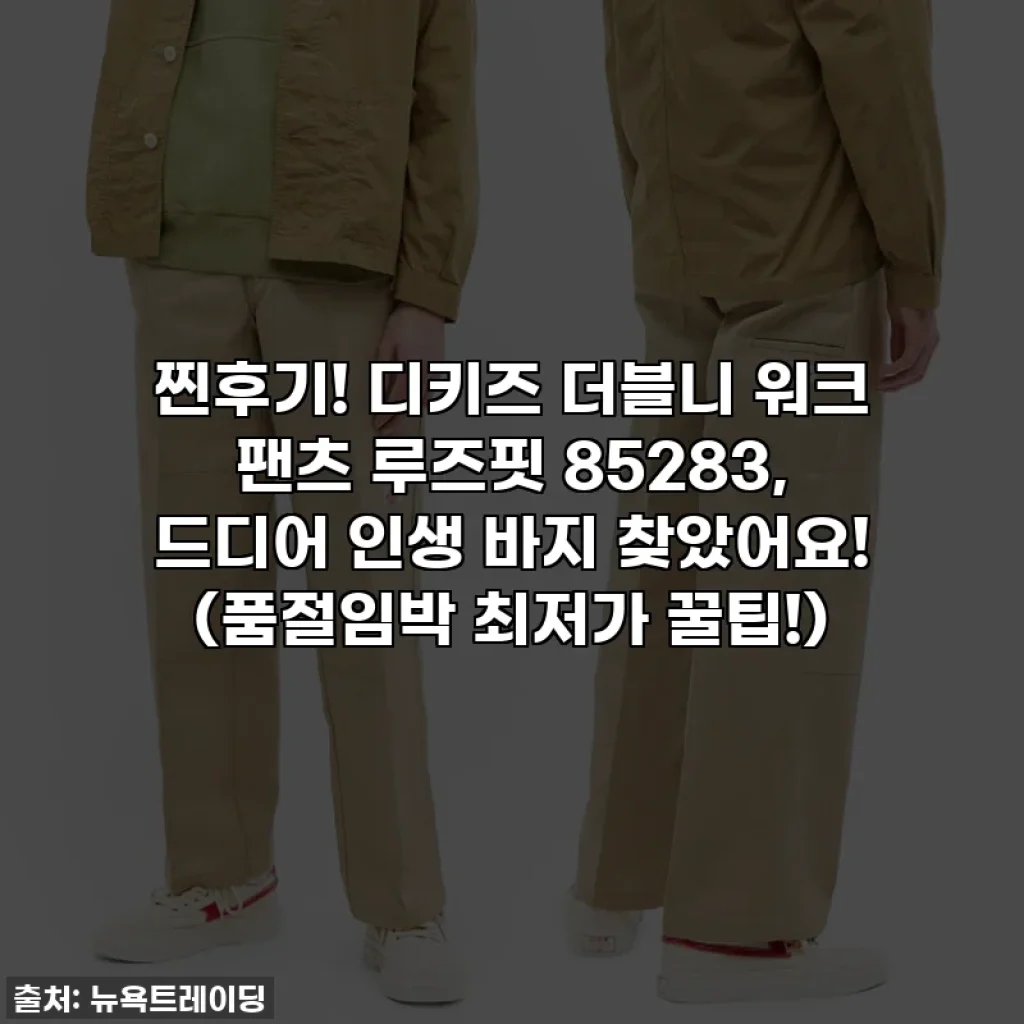 찐후기! 디키즈 더블니 워크 팬츠 루즈핏 85283, 드디어 인생 바지 찾았어요! (품절임박 최저가 꿀팁!)