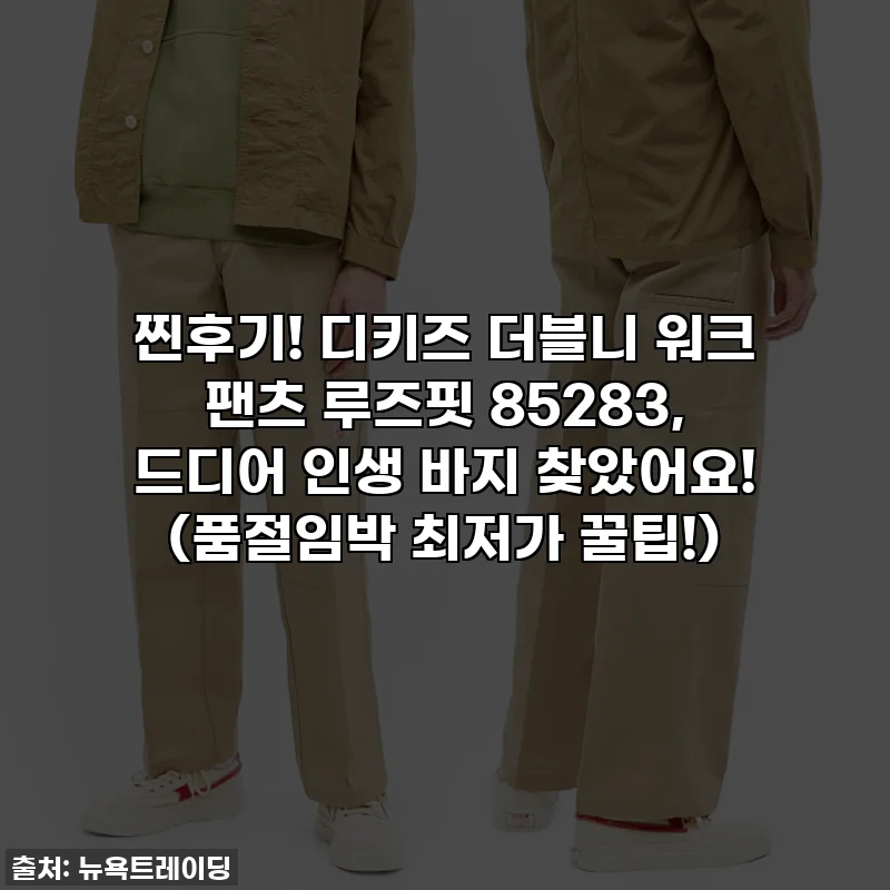 찐후기! 디키즈 더블니 워크 팬츠 루즈핏 85283, 드디어 인생 바지 찾았어요! (품절임박 최저가 꿀팁!)