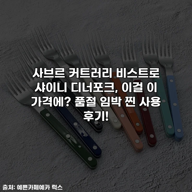 사브르 커트러리 비스트로 샤이니 디너포크, 이걸 이 가격에? 품절 임박 찐 사용 후기!
