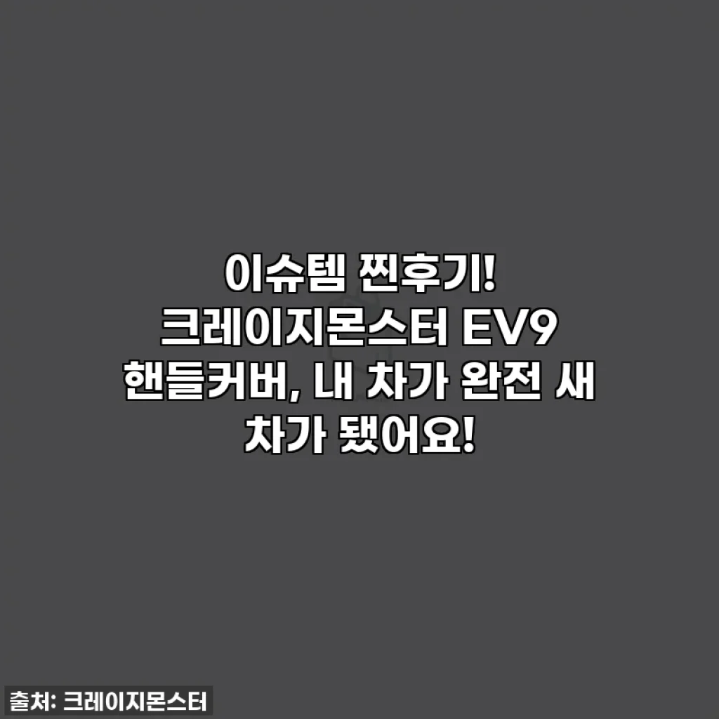 이슈템 찐후기! 크레이지몬스터 EV9 핸들커버, 내 차가 완전 새 차가 됐어요!