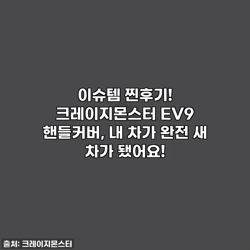 이슈템 찐후기! 크레이지몬스터 EV9 핸들커버, 내 차가 완전 새 차가 됐어요!