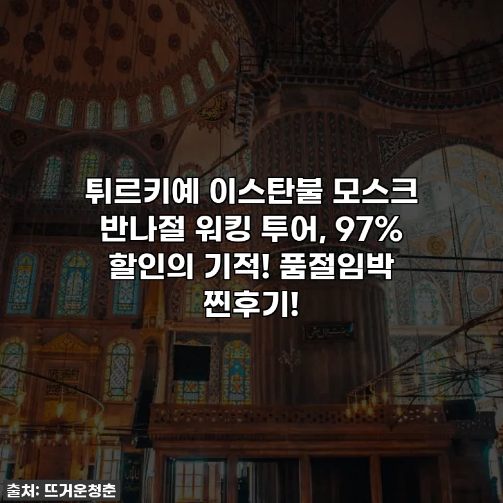 튀르키예 이스탄불 모스크 반나절 워킹 투어, 97% 할인의 기적! 품절임박 찐후기!