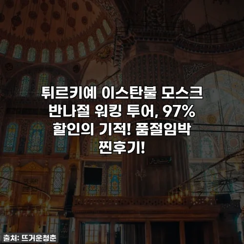 튀르키예 이스탄불 모스크 반나절 워킹 투어, 97% 할인의 기적! 품절임박 찐후기!