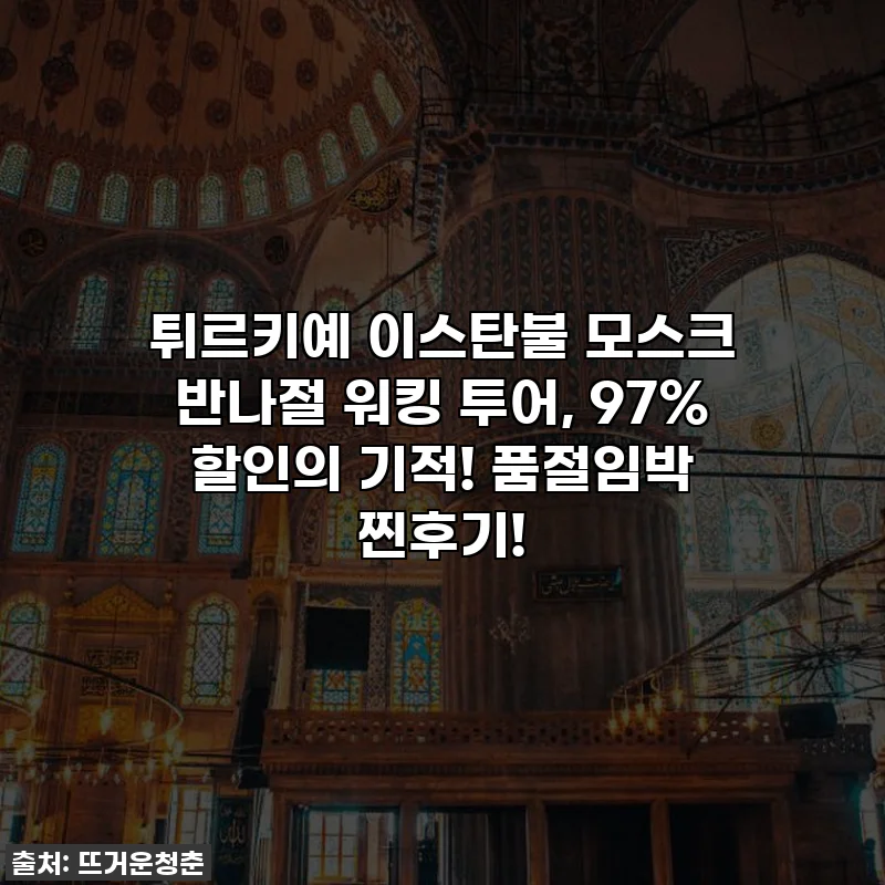 튀르키예 이스탄불 모스크 반나절 워킹 투어, 97% 할인의 기적! 품절임박 찐후기!