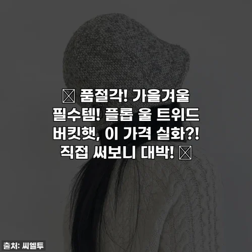 🚨 품절각! 가을겨울 필수템! 플롭 울 트위드 버킷햇, 이 가격 실화?! 직접 써보니 대박! 🚨