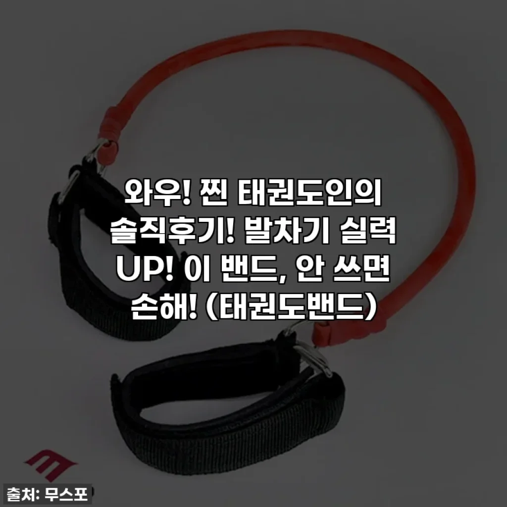 와우! 찐 태권도인의 솔직후기! 발차기 실력 UP! 이 밴드, 안 쓰면 손해! (태권도밴드)