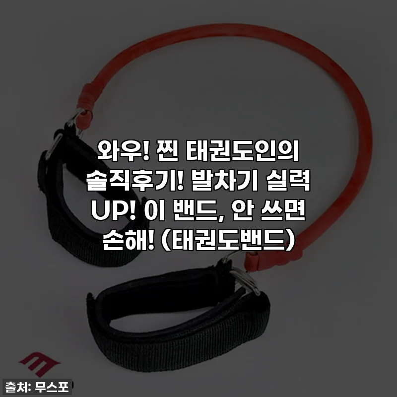 와우! 찐 태권도인의 솔직후기! 발차기 실력 UP! 이 밴드, 안 쓰면 손해! (태권도밴드)