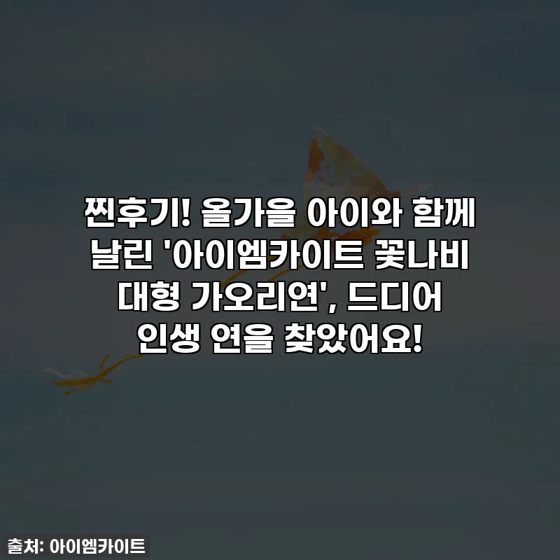 찐후기! 올가을 아이와 함께 날린 '아이엠카이트 꽃나비 대형 가오리연', 드디어 인생 연을 찾았어요!
