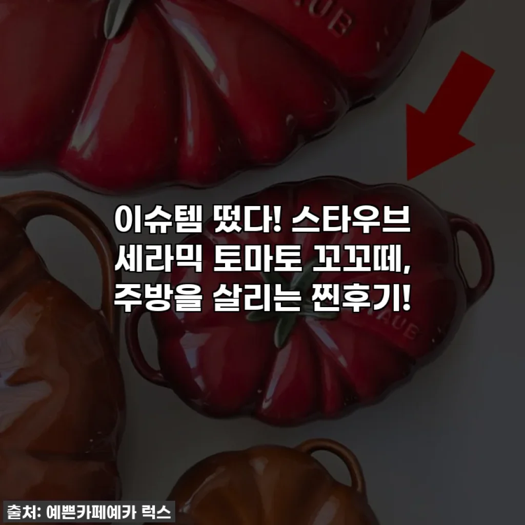 이슈템 떴다! 스타우브 세라믹 토마토 꼬꼬떼, 주방을 살리는 찐후기!