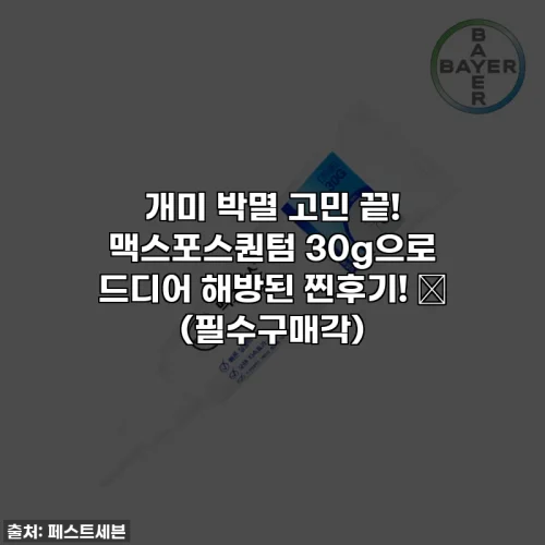 개미 박멸 고민 끝! 맥스포스퀀텀 30g으로 드디어 해방된 찐후기! ✨ (필수구매각)