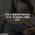 Home 65 찐후기! 품절임박! 페어아일 가디건, 올겨울 필수구매템 등극!