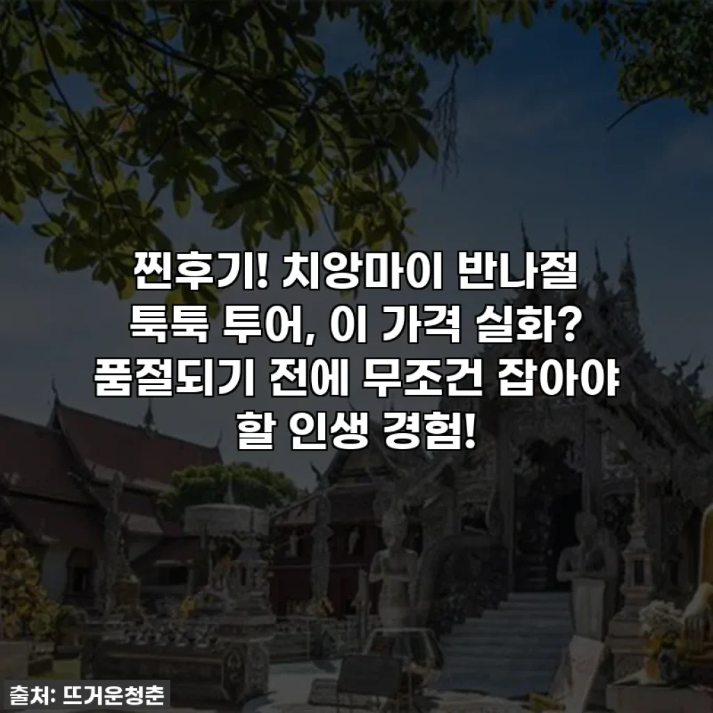 찐후기! 치앙마이 반나절 툭툭 투어, 이 가격 실화? 품절되기 전에 무조건 잡아야 할 인생 경험!