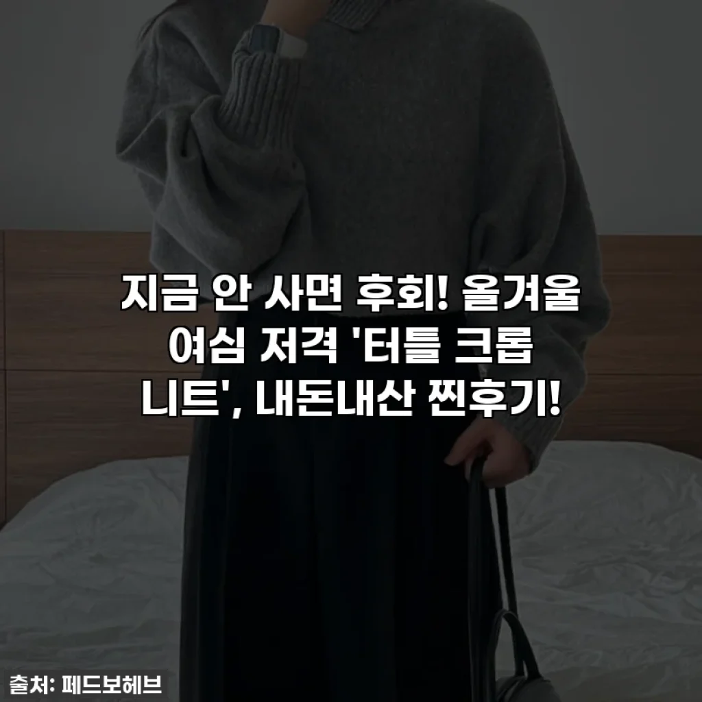 지금 안 사면 후회! 올겨울 여심 저격 '터틀 크롭 니트', 내돈내산 찐후기!