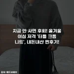 지금 안 사면 후회! 올겨울 여심 저격 '터틀 크롭 니트', 내돈내산 찐후기!