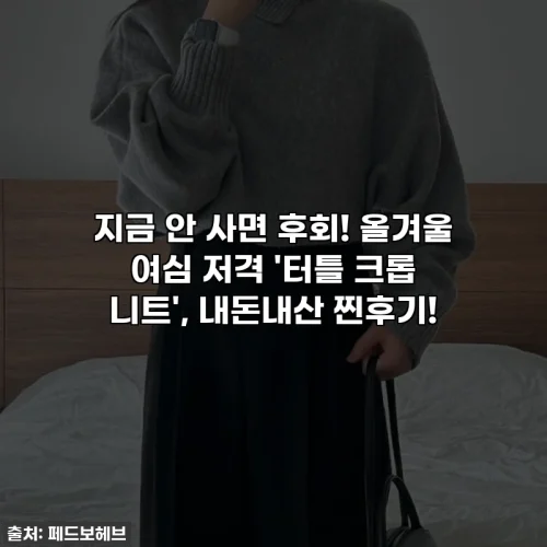 지금 안 사면 후회! 올겨울 여심 저격 '터틀 크롭 니트', 내돈내산 찐후기!