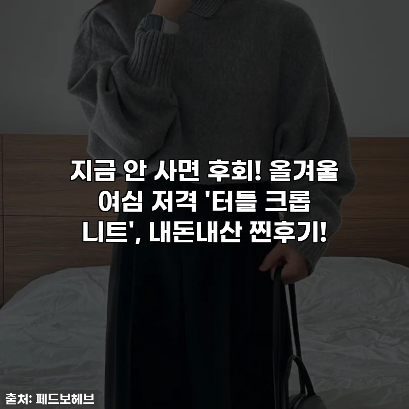 지금 안 사면 후회! 올겨울 여심 저격 '터틀 크롭 니트', 내돈내산 찐후기!