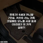 찐후기! 4세대 카니발 7인승, 카프트 리노 가죽 코일매트 모노륨 시공 효과 (브라운)! 이 가격 실화?!
