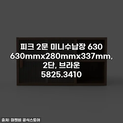 피크 2문 미니수납장 630 630mmx280mmx337mm, 2단, 브라운 5825.3410