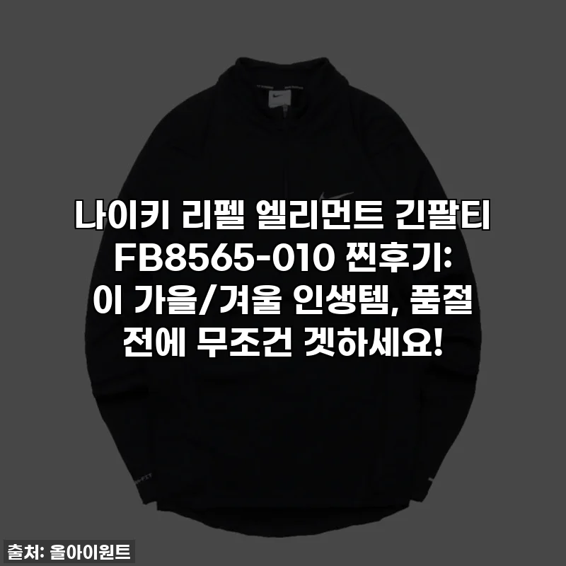 나이키 리펠 엘리먼트 긴팔티 FB8565-010 찐후기: 이 가을/겨울 인생템, 품절 전에 무조건 겟하세요!