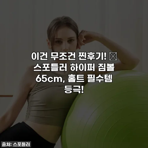이건 무조건 찐후기! ✨ 스포틀러 하이퍼 짐볼 65cm, 홈트 필수템 등극!