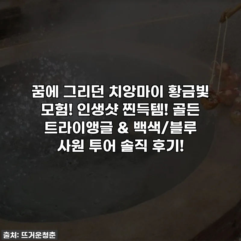 꿈에 그리던 치앙마이 황금빛 모험! 인생샷 찐득템! 골든 트라이앵글 & 백색/블루 사원 투어 솔직 후기!