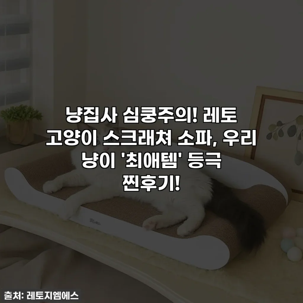 냥집사 심쿵주의! 레토 고양이 스크래쳐 소파, 우리 냥이 '최애템' 등극 찐후기!
