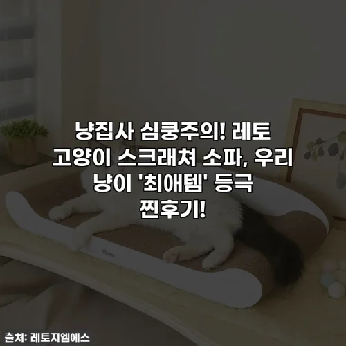 Home 86 냥집사 심쿵주의! 레토 고양이 스크래쳐 소파, 우리 냥이 '최애템' 등극 찐후기!