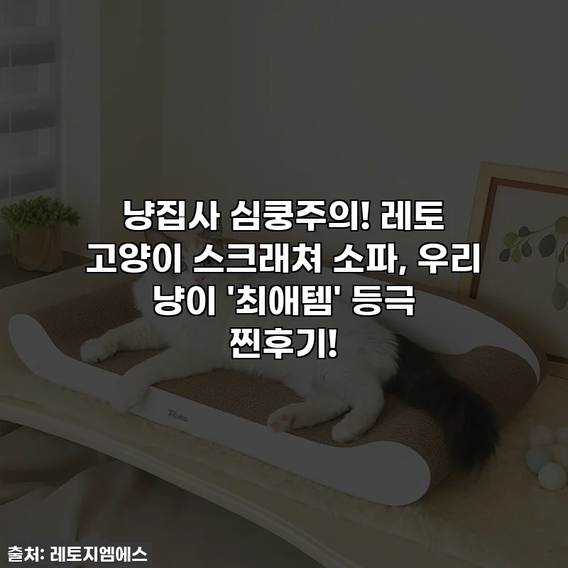 냥집사 심쿵주의! 레토 고양이 스크래쳐 소파, 우리 냥이 '최애템' 등극 찐후기!