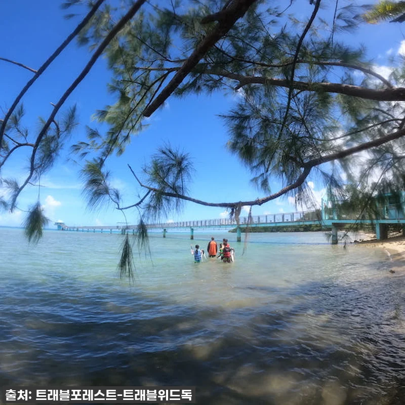 괌 가족여행 필수코스! 한국인 강사 관련 이미지 1