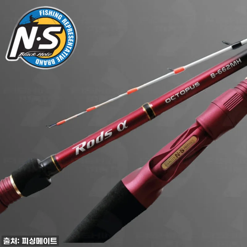 이슈템 떴다! NS 로드스 알파 옥토 관련 이미지 1