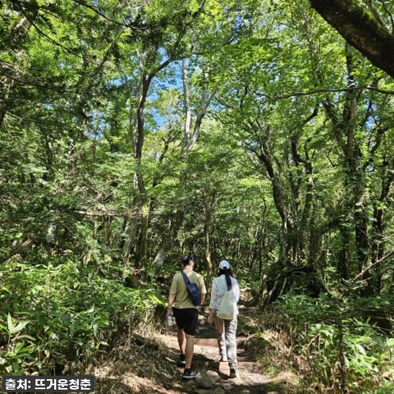 점심 포함 제주도 남부 버스 투어 전 관련 이미지 1